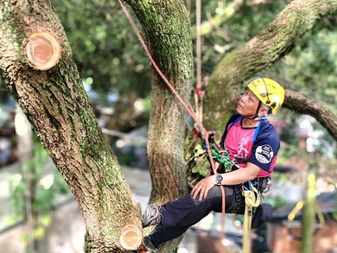 Physical promotion activity [Tree Climbing Fun Together] ▏ Morning Session: Tree Climbing Experience and Tree Knowledge